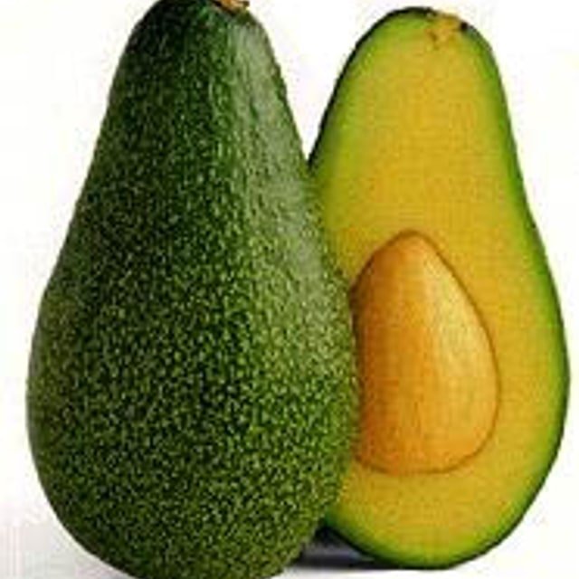 Avocado Seed for planting