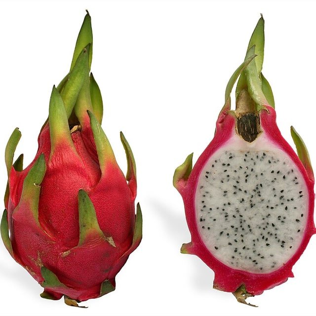 Dragon Fruit Seed