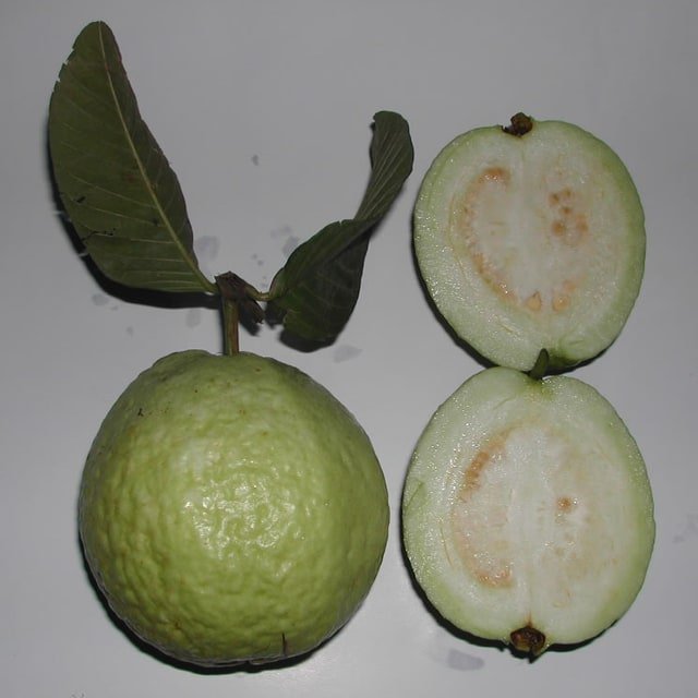 Guava Seed