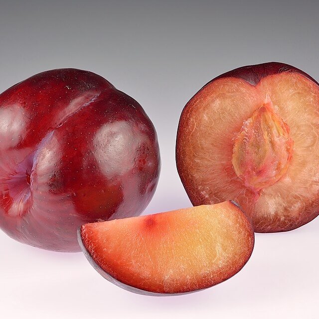 Plum Seed for planting