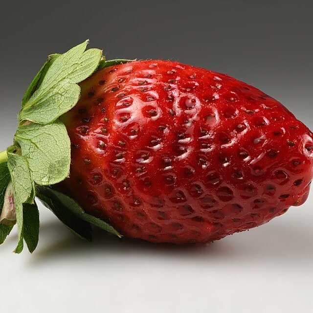 Strawberry Seed