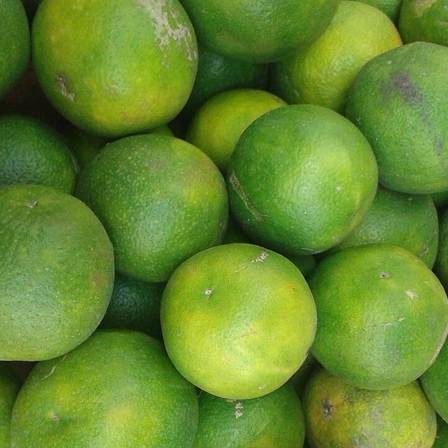 Sweet Lime Seed