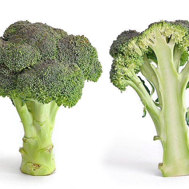 Broccoli Seed