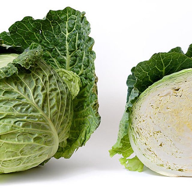 Cabbage Seed — MAHAKAL ENTERPRISES