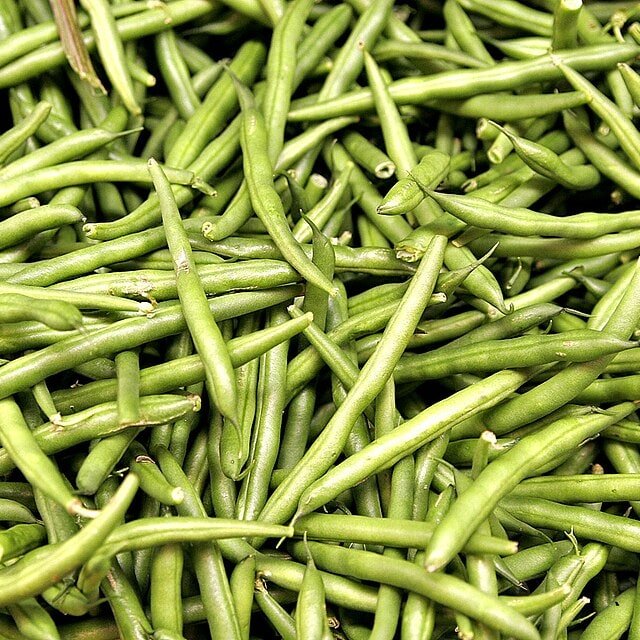 French Bean Seed